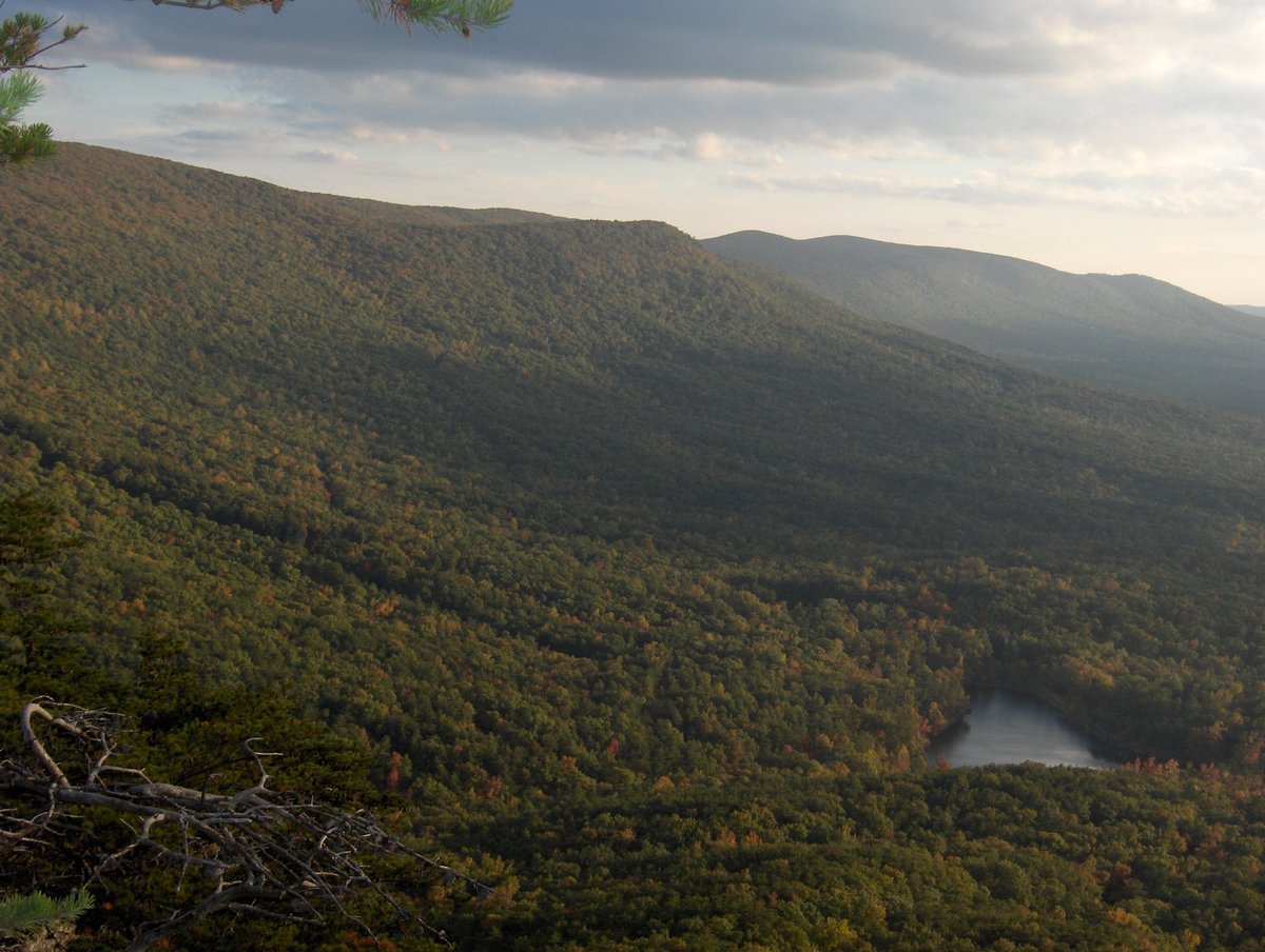Forest Park, AL - Talladega National Forest - Wikipedia