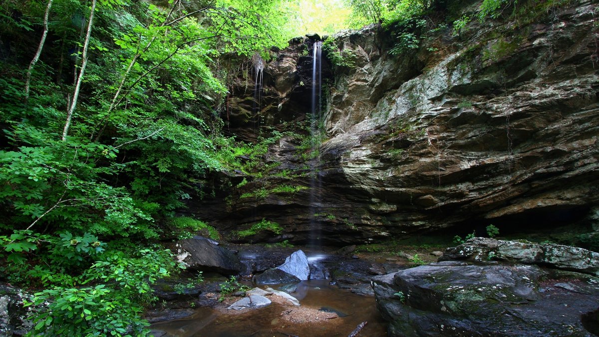 Forest Park, AL - Alabama Pictures and Facts | National Geographic Kids